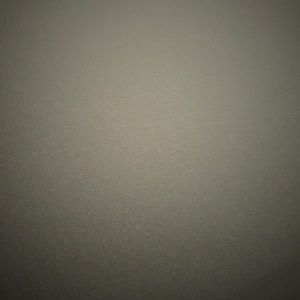 Meet your Posher, Sally